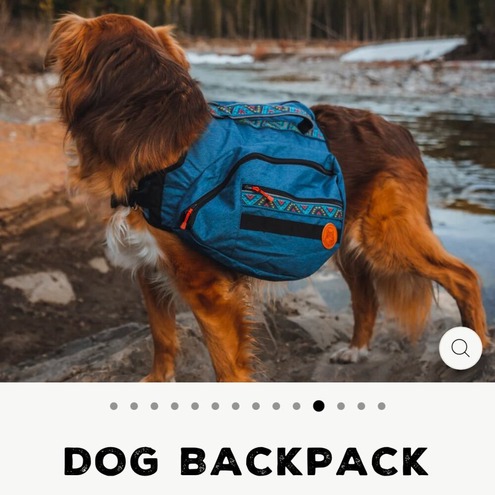 Blue Dog Backpack Saddle Bag for Hiking - Unbranded